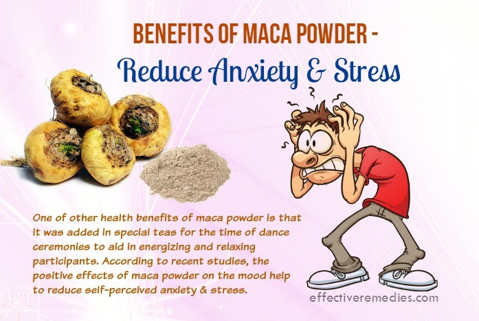 maca root benefits